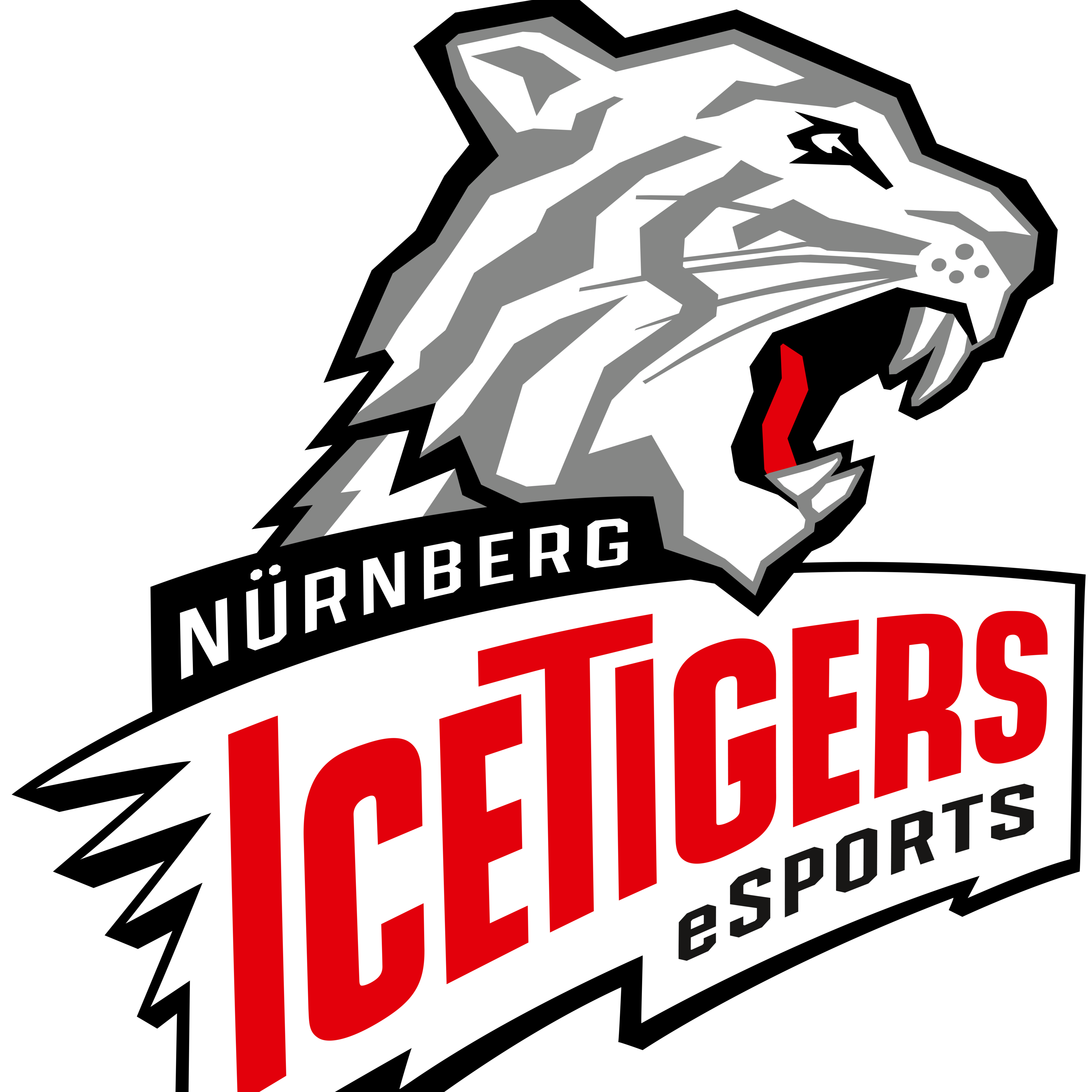 Nurnberg IceTigers eSport