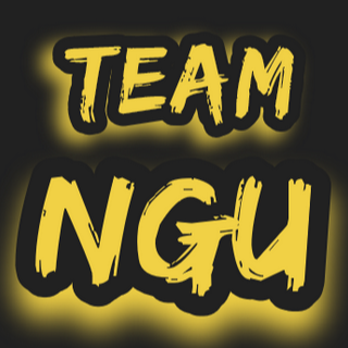 Team NGU
