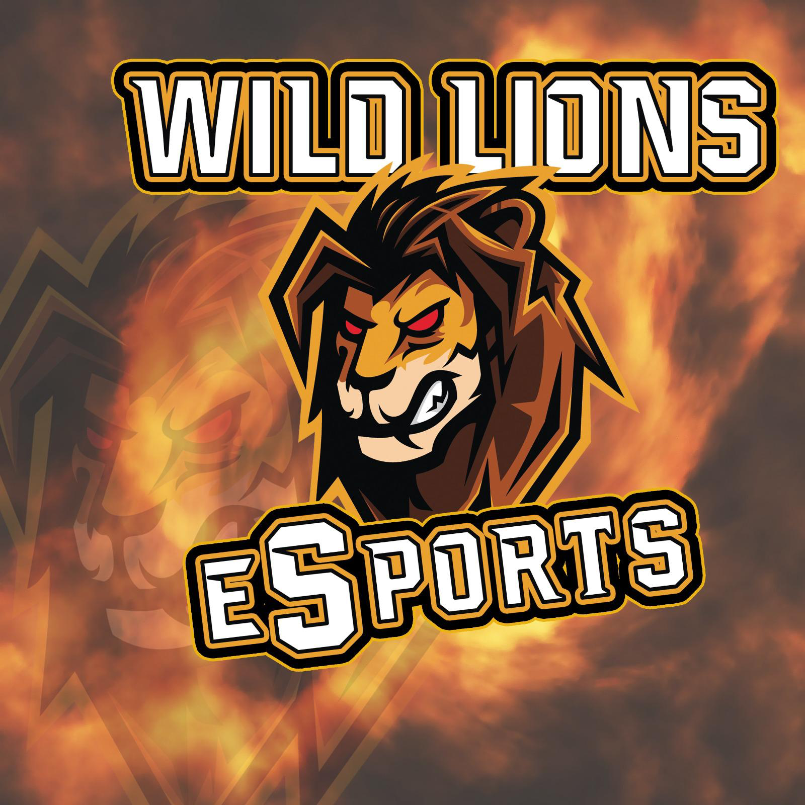 ERSC Amberg eSports (DNF)