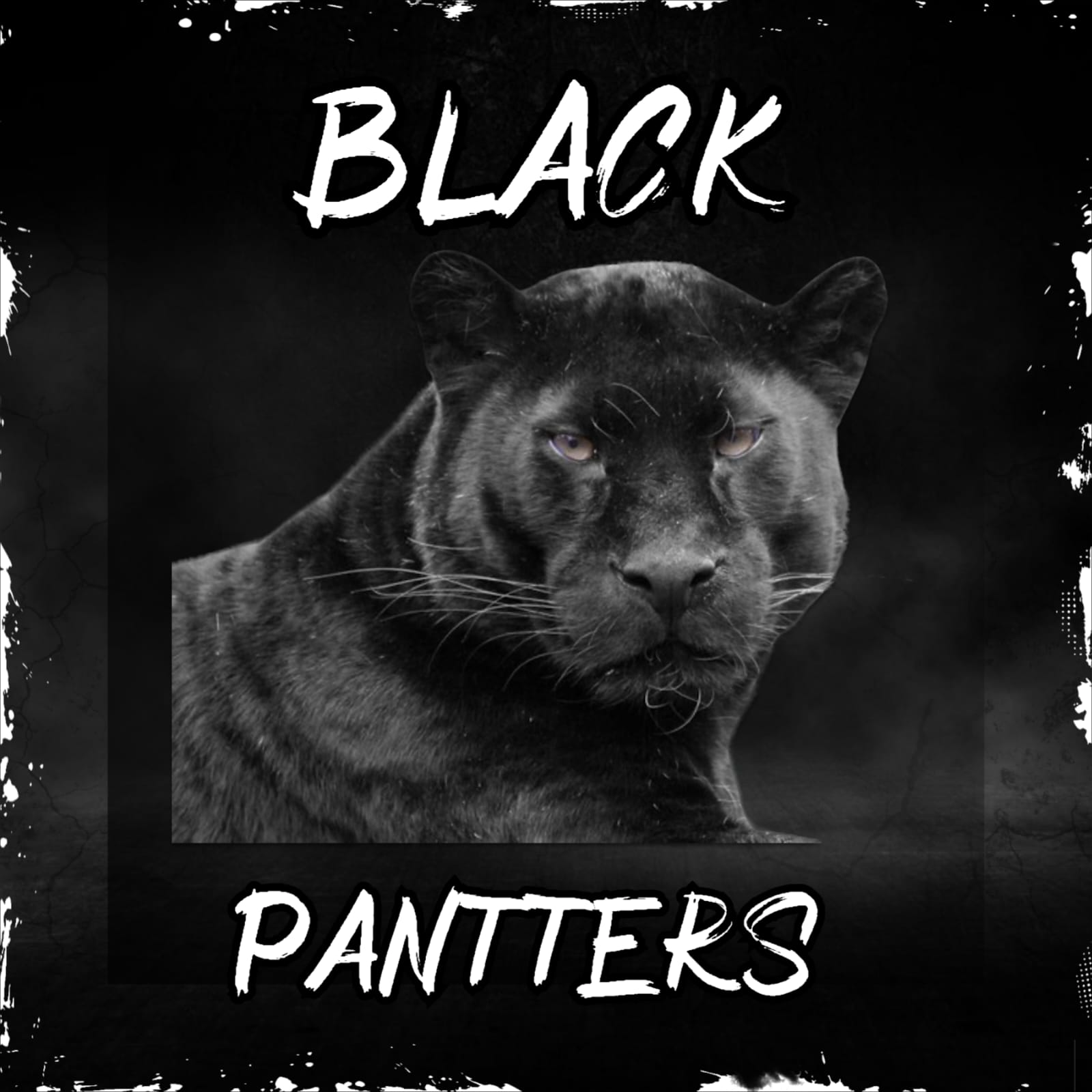 Black pantters