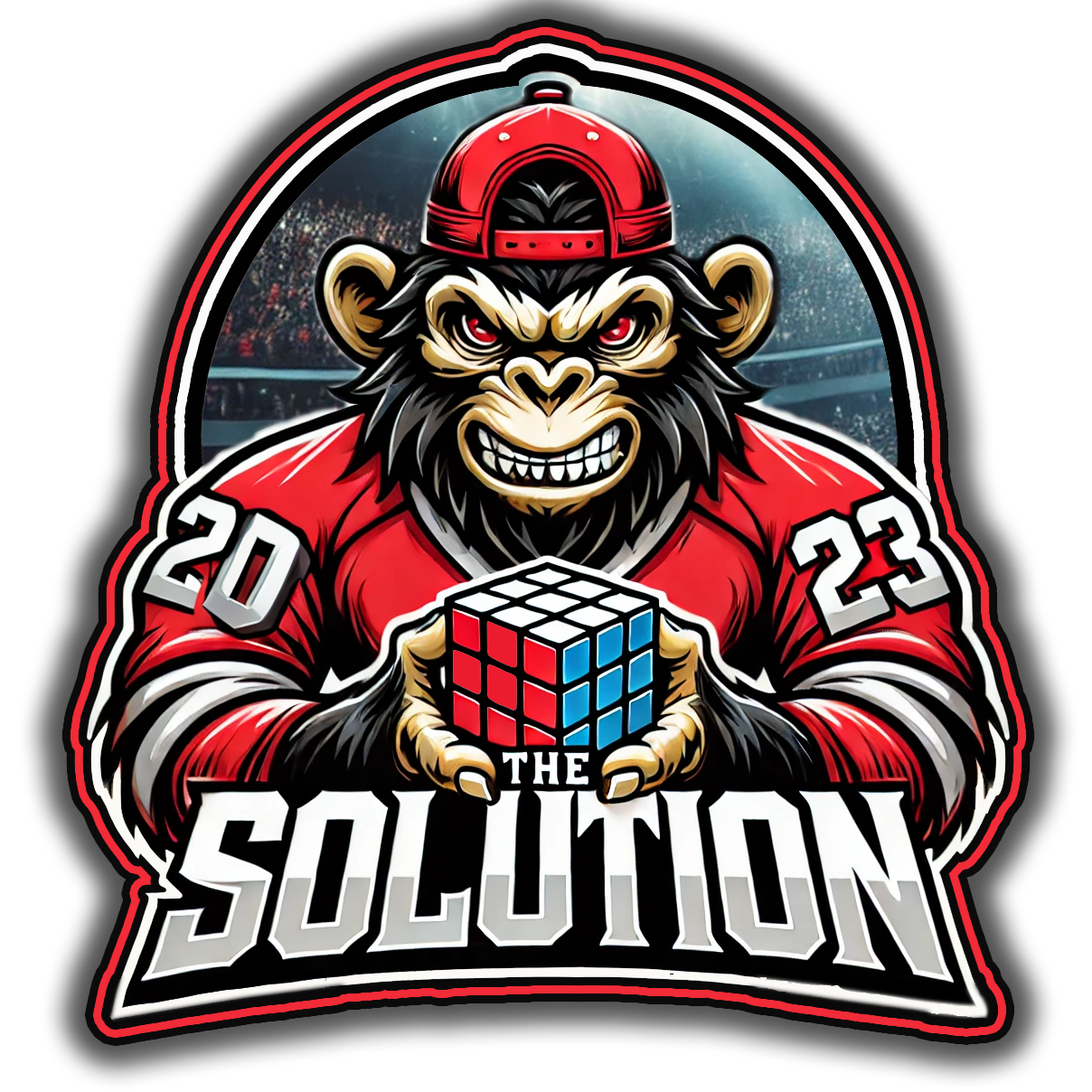 THE%20SOLUTION_20241114-083726.png