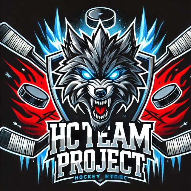 Hc Team Project