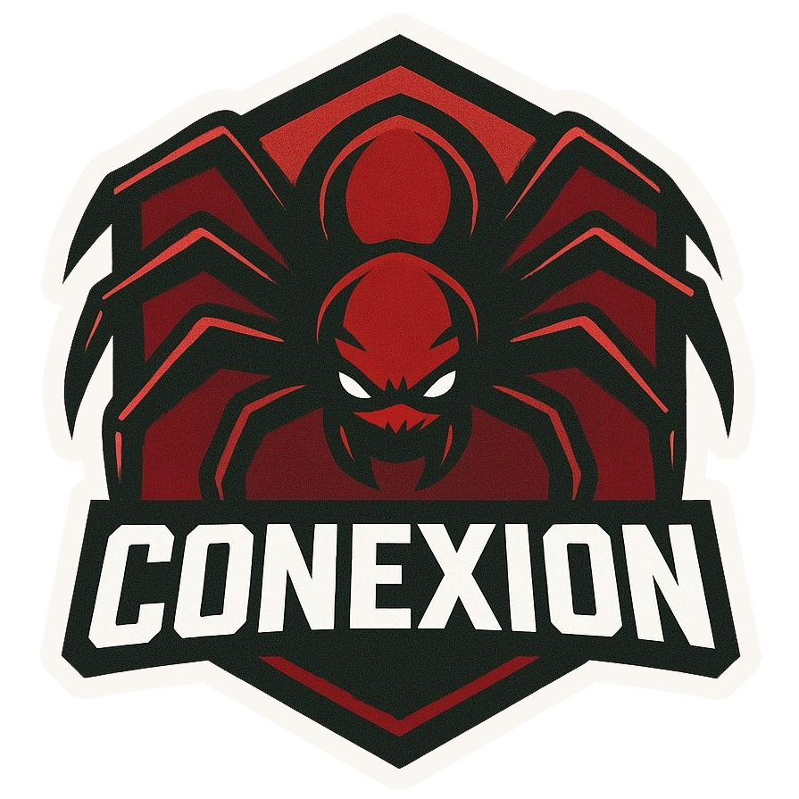 Conexion Conexion