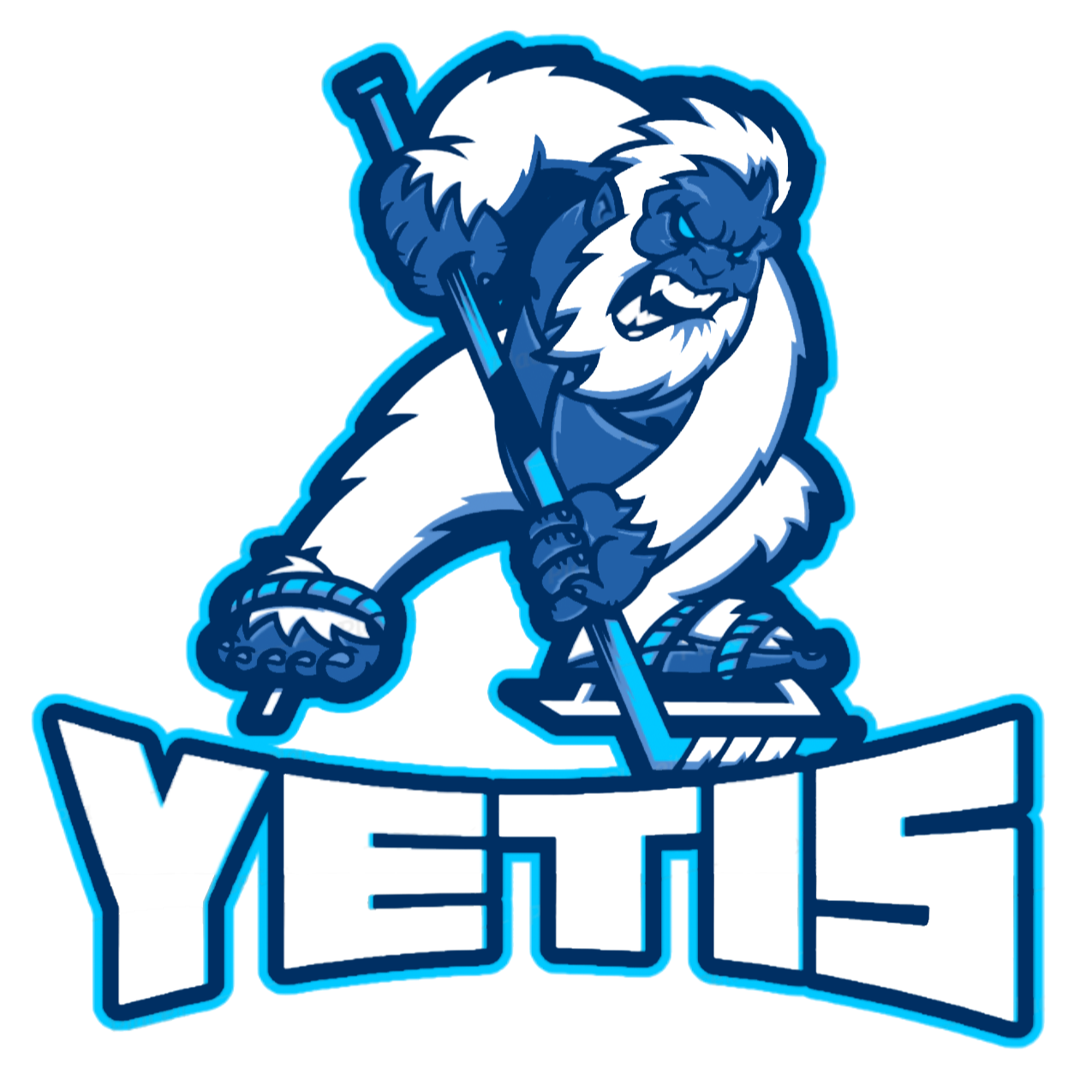 Eishockeynet Yetis