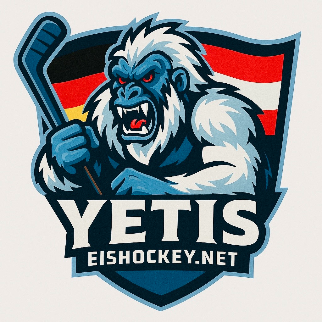 Eishockeynet Yetis