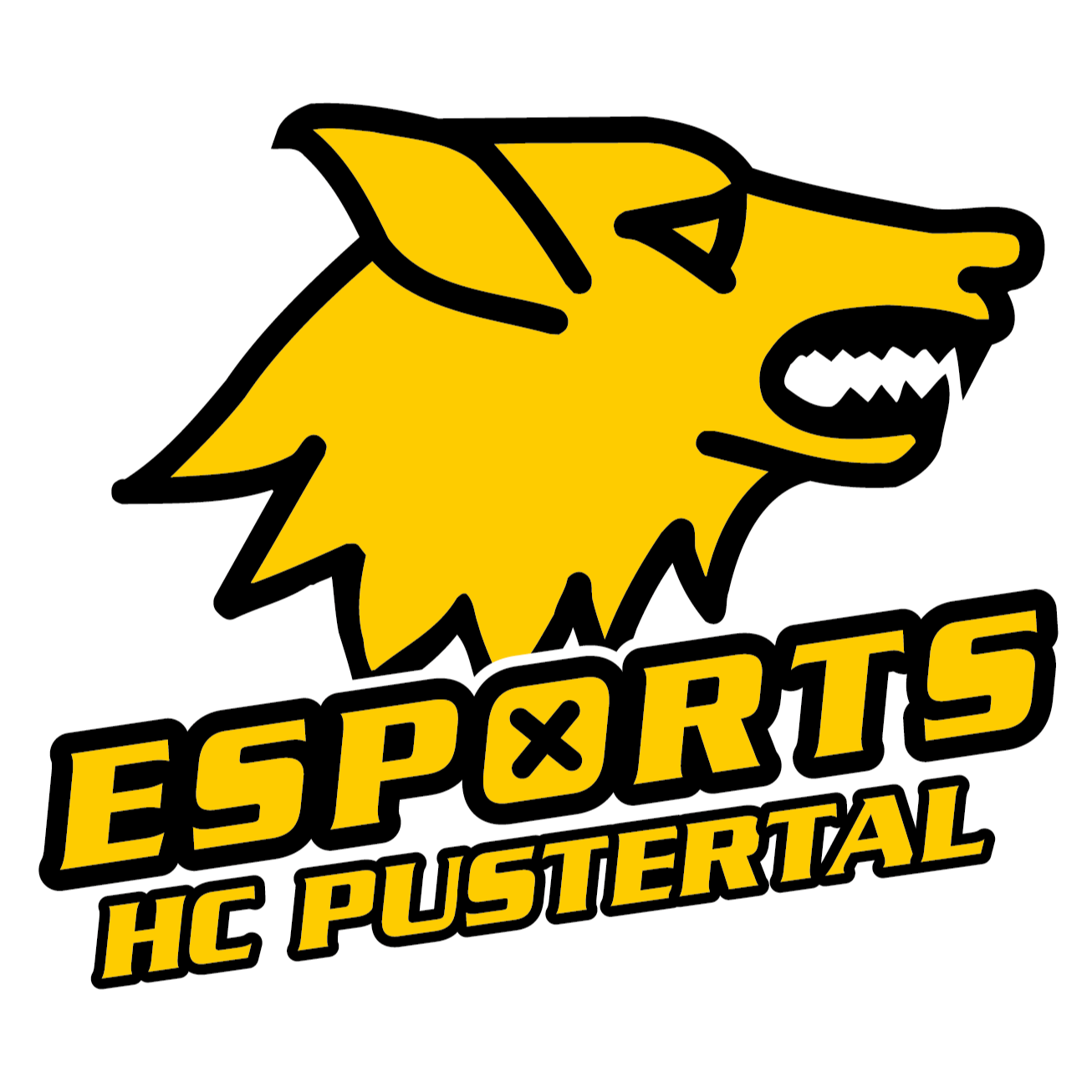 HCP eSports